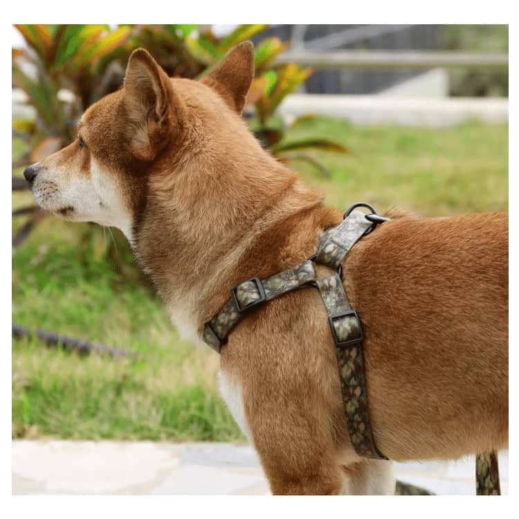 arnés para perros en forma de y